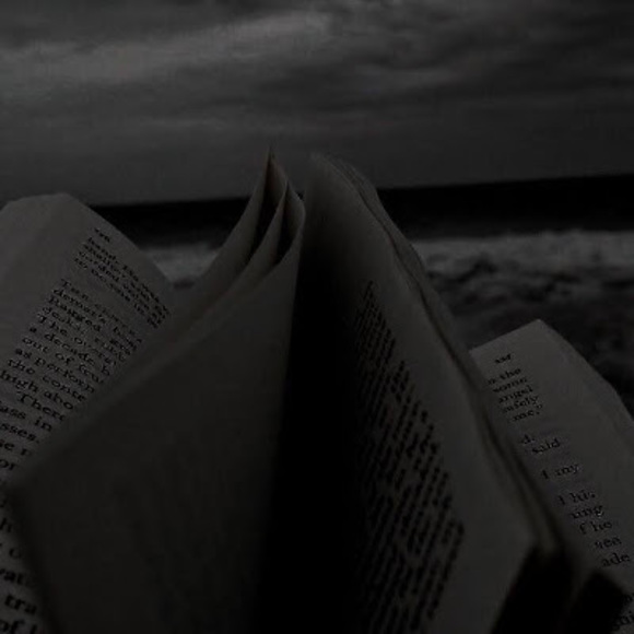 Meet your Posher, Piper - Picture 1 of 1